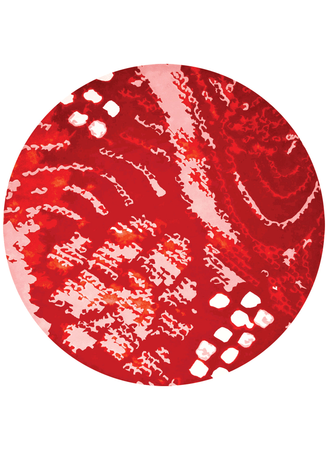Visoli Square Hand Tufted Rug – Contemporary Abstract 100% New Zealand Wool Luxury Area Rug by Rugfine
